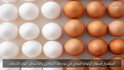 استقرار أسعار كرتونة البيض في بورصة الدواجن والأسواق اليوم الأربعاء