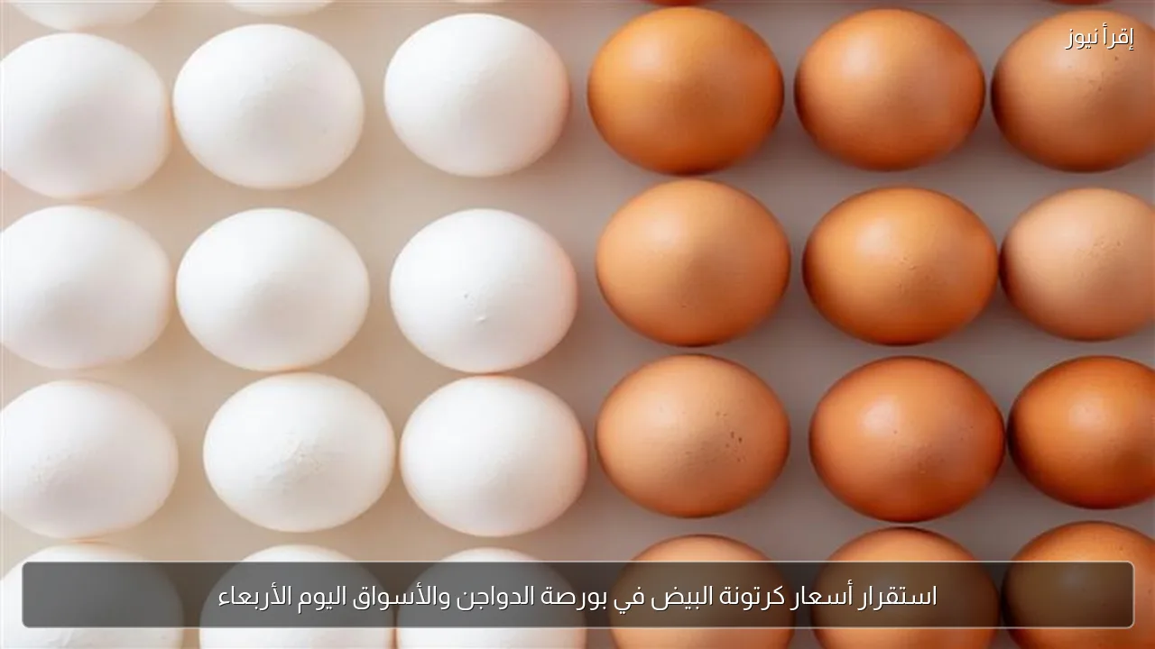 استقرار أسعار كرتونة البيض في بورصة الدواجن والأسواق اليوم الأربعاء