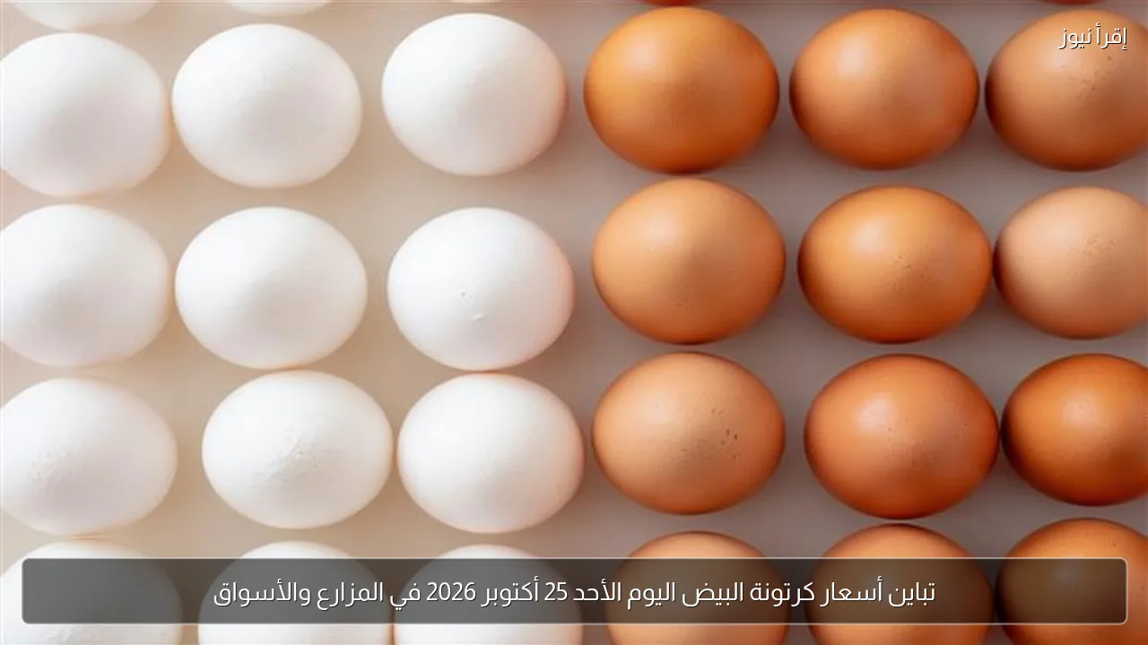 تباين أسعار كرتونة البيض اليوم الأحد 25 أكتوبر 2026 في المزارع والأسواق