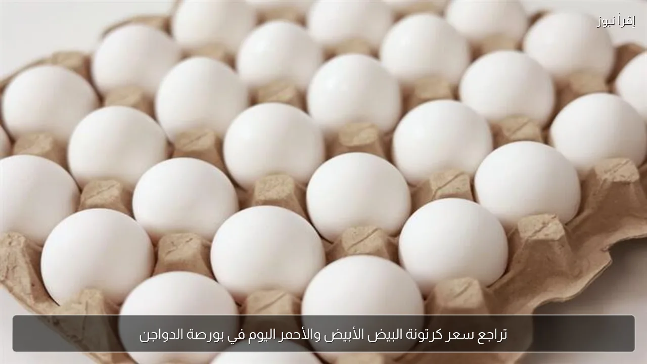 تراجع سعر كرتونة البيض الأبيض والأحمر اليوم في بورصة الدواجن