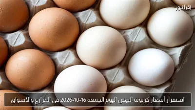 استقرار أسعار كرتونة البيض اليوم الجمعة 16-10-2026 في المزارع والأسواق