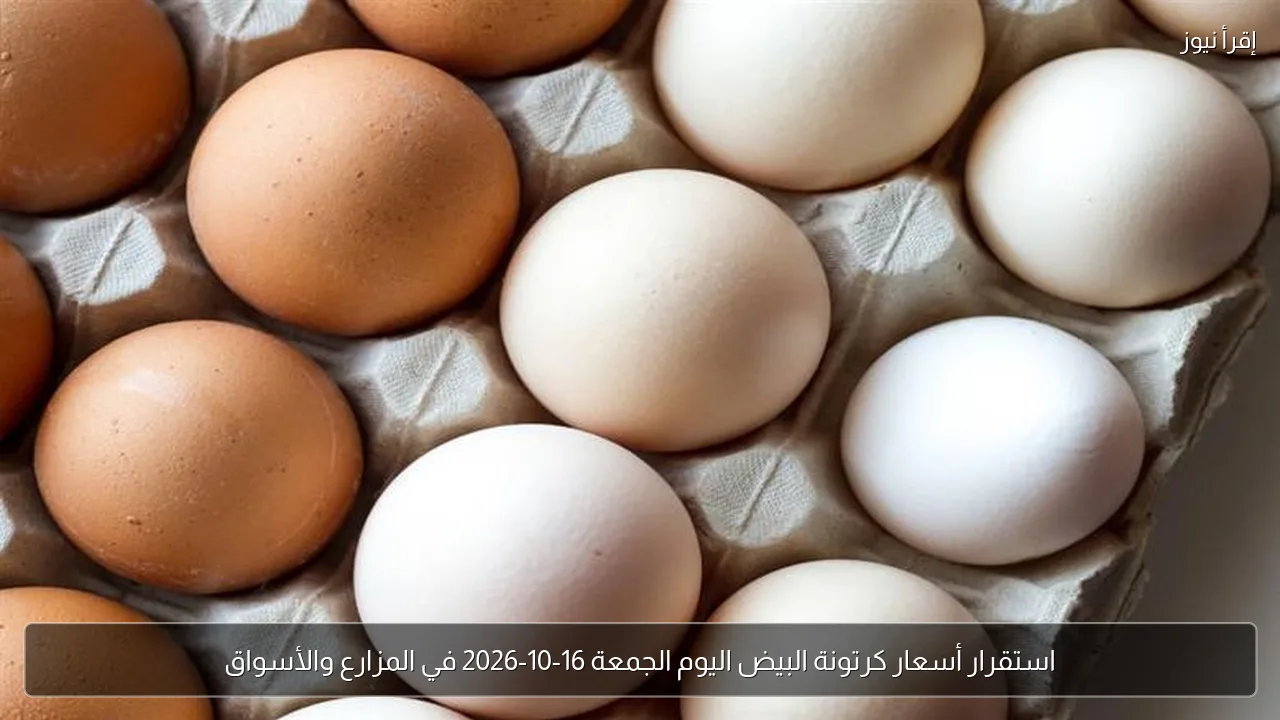 استقرار أسعار كرتونة البيض اليوم الجمعة 16-10-2026 في المزارع والأسواق