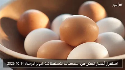 استقرار أسعار البيض في المجمعات الاستهلاكية اليوم الأربعاء 14-10-2026