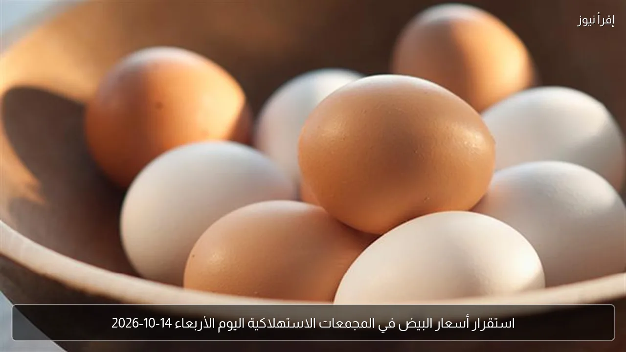استقرار أسعار البيض في المجمعات الاستهلاكية اليوم الأربعاء 14-10-2026