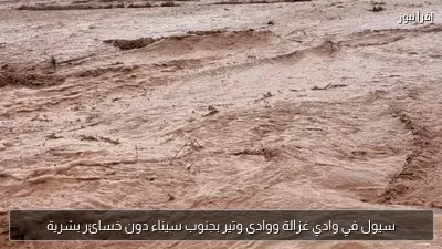 سيول في وادي غزالة ووادى وتير بجنوب سيناء دون خسائر بشرية