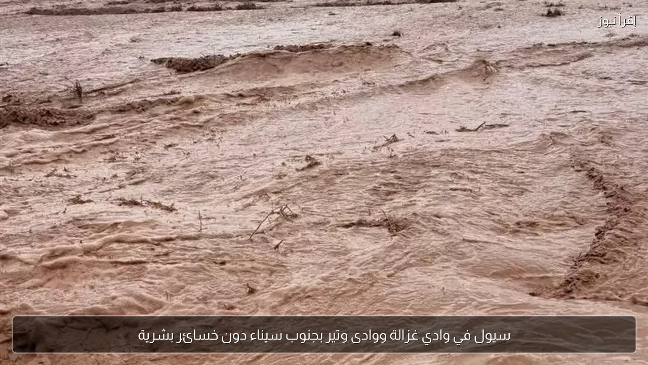 سيول في وادي غزالة ووادى وتير بجنوب سيناء دون خسائر بشرية