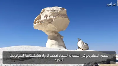 صخور المشروم في الصحراء البيضاء تجذب الزوار بتشكيلاتها الجيولوجية النادرة