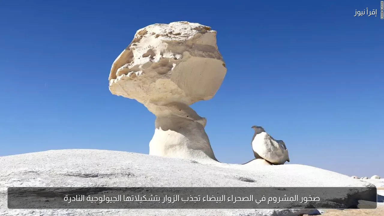 صخور المشروم في الصحراء البيضاء تجذب الزوار بتشكيلاتها الجيولوجية النادرة