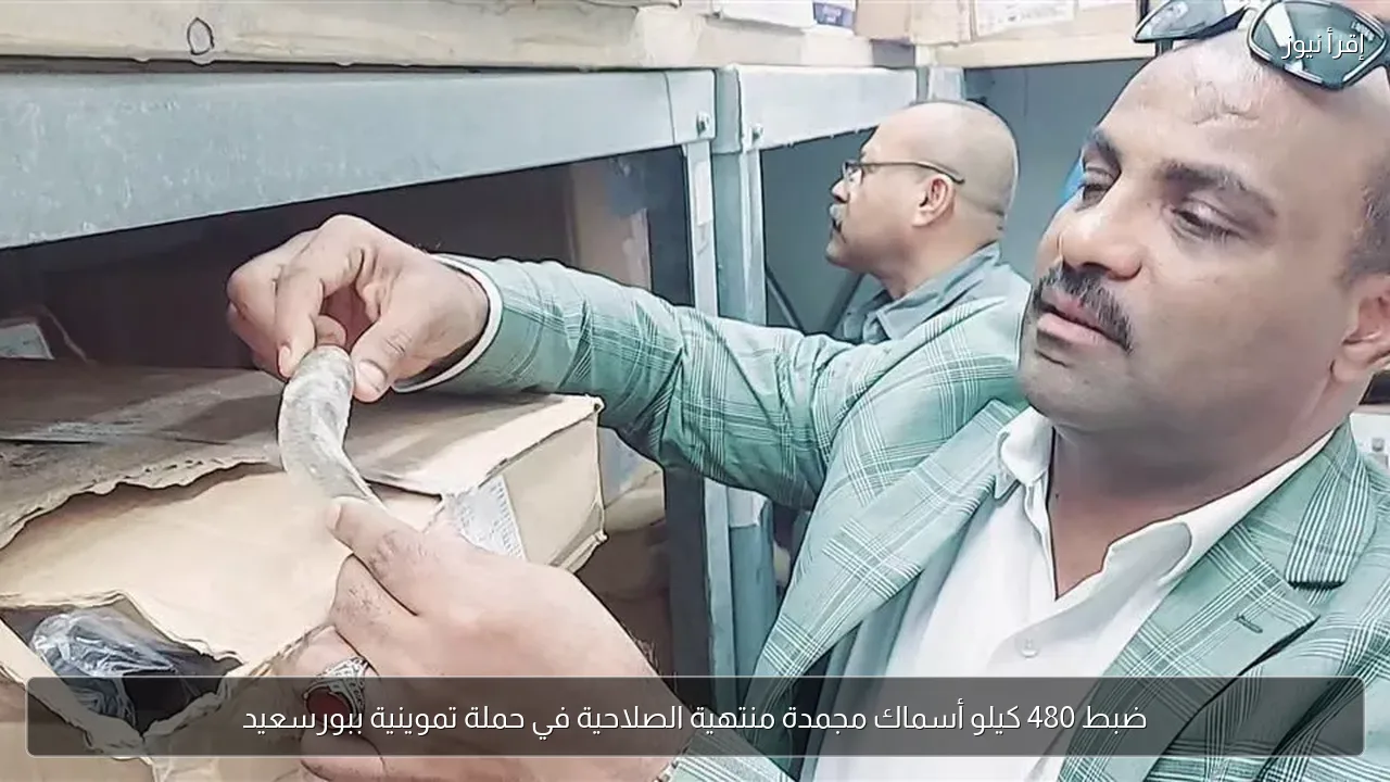 ضبط 480 كيلو أسماك مجمدة منتهية الصلاحية في حملة تموينية ببورسعيد