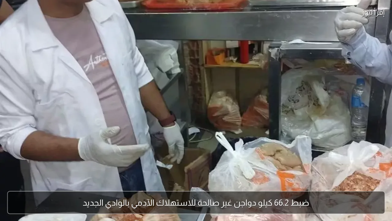 ضبط 66.2 كيلو دواجن غير صالحة للاستهلاك الآدمي بالوادي الجديد
