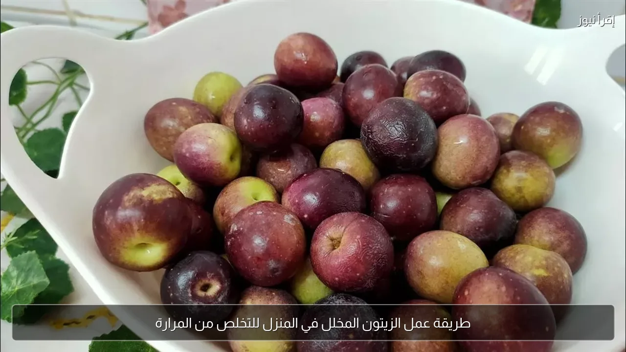 طريقة عمل الزيتون المخلل في المنزل للتخلص من المرارة