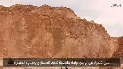 عين خضرة في نويبع.. واحة طبيعية تجمع السفاري وهدوء الصحراء
