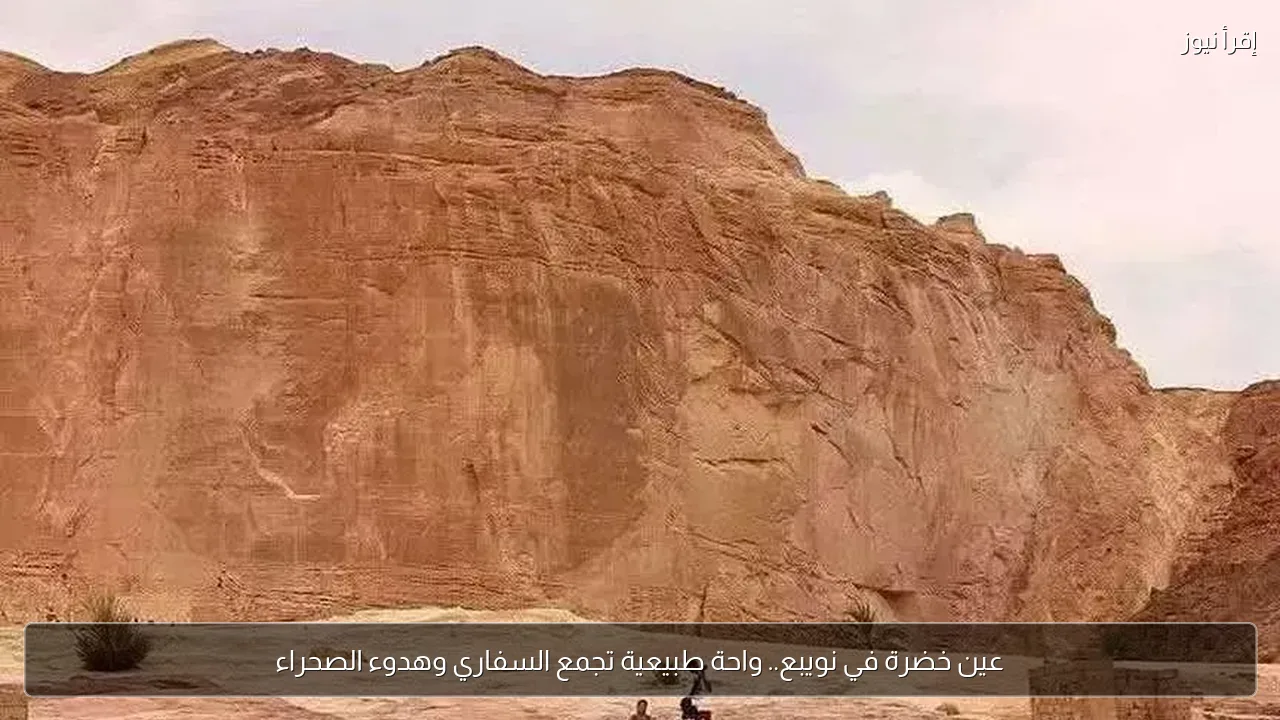 عين خضرة في نويبع.. واحة طبيعية تجمع السفاري وهدوء الصحراء
