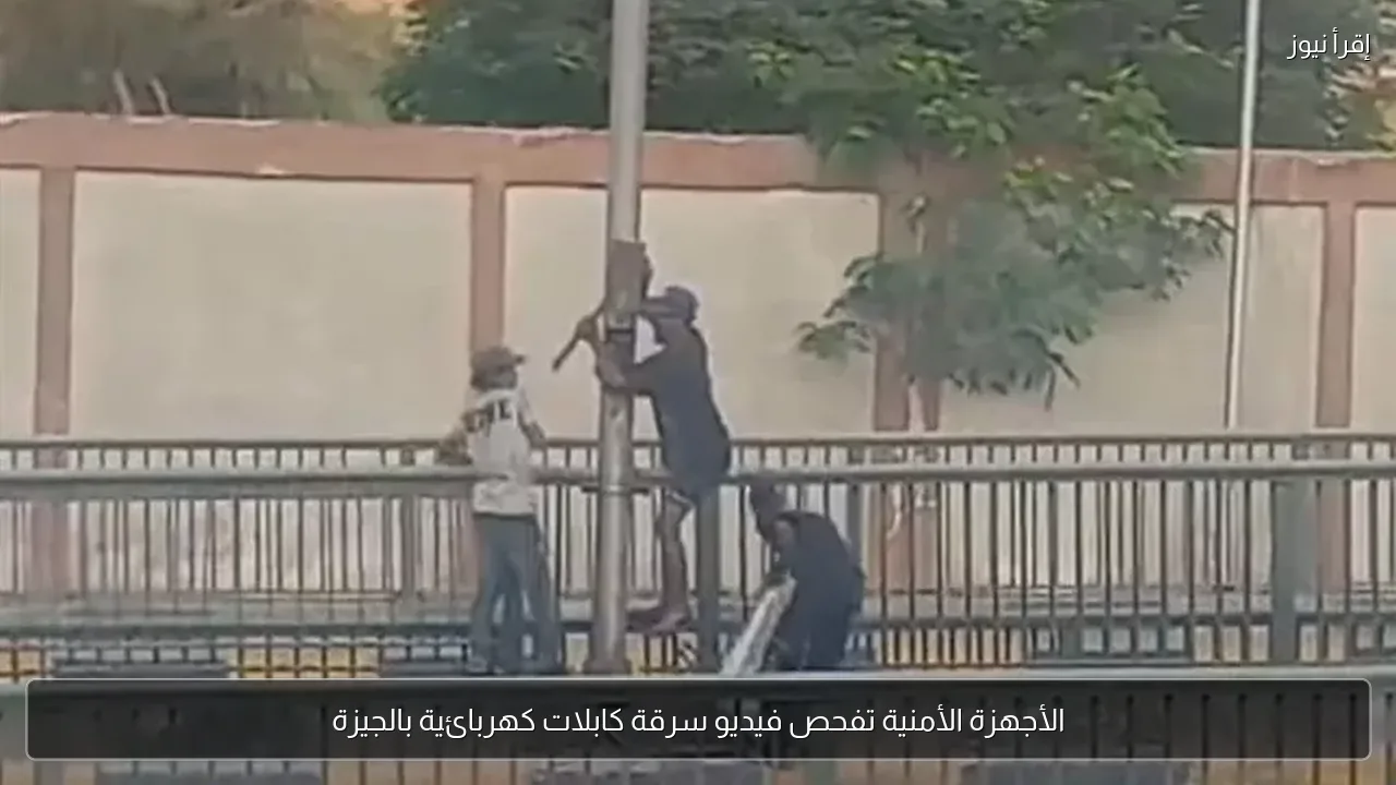 الأجهزة الأمنية تفحص فيديو سرقة كابلات كهربائية بالجيزة