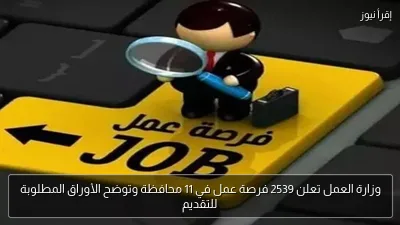 وزارة العمل تعلن 2539 فرصة عمل في 11 محافظة وتوضح الأوراق المطلوبة للتقديم