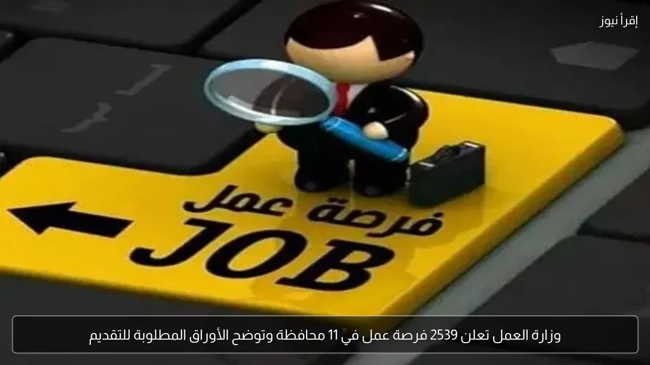 وزارة العمل تعلن 2539 فرصة عمل في 11 محافظة وتوضح الأوراق المطلوبة للتقديم