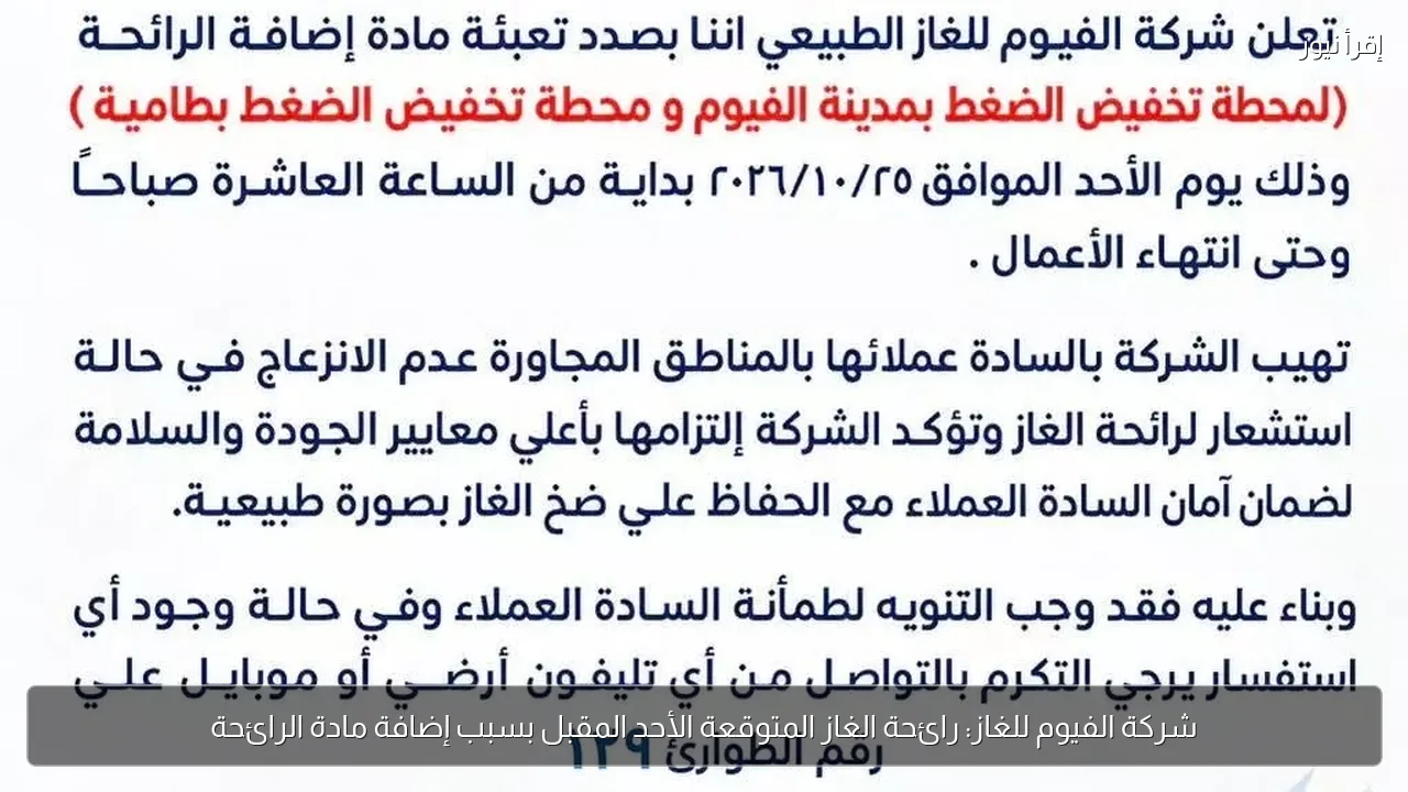 شركة الفيوم للغاز: رائحة الغاز المتوقعة الأحد المقبل بسبب إضافة مادة الرائحة