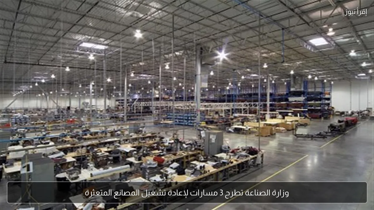 وزارة الصناعة تطرح 3 مسارات لإعادة تشغيل المصانع المتعثرة