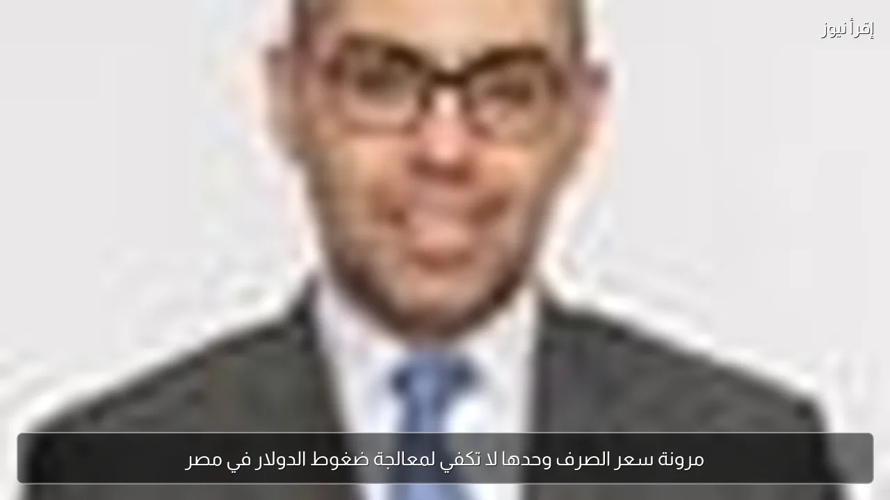 مرونة سعر الصرف وحدها لا تكفي لمعالجة ضغوط الدولار في مصر