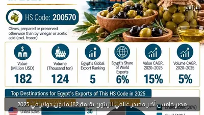 مصر خامس أكبر مصدر عالمي للزيتون بقيمة 182 مليون دولار في 2025