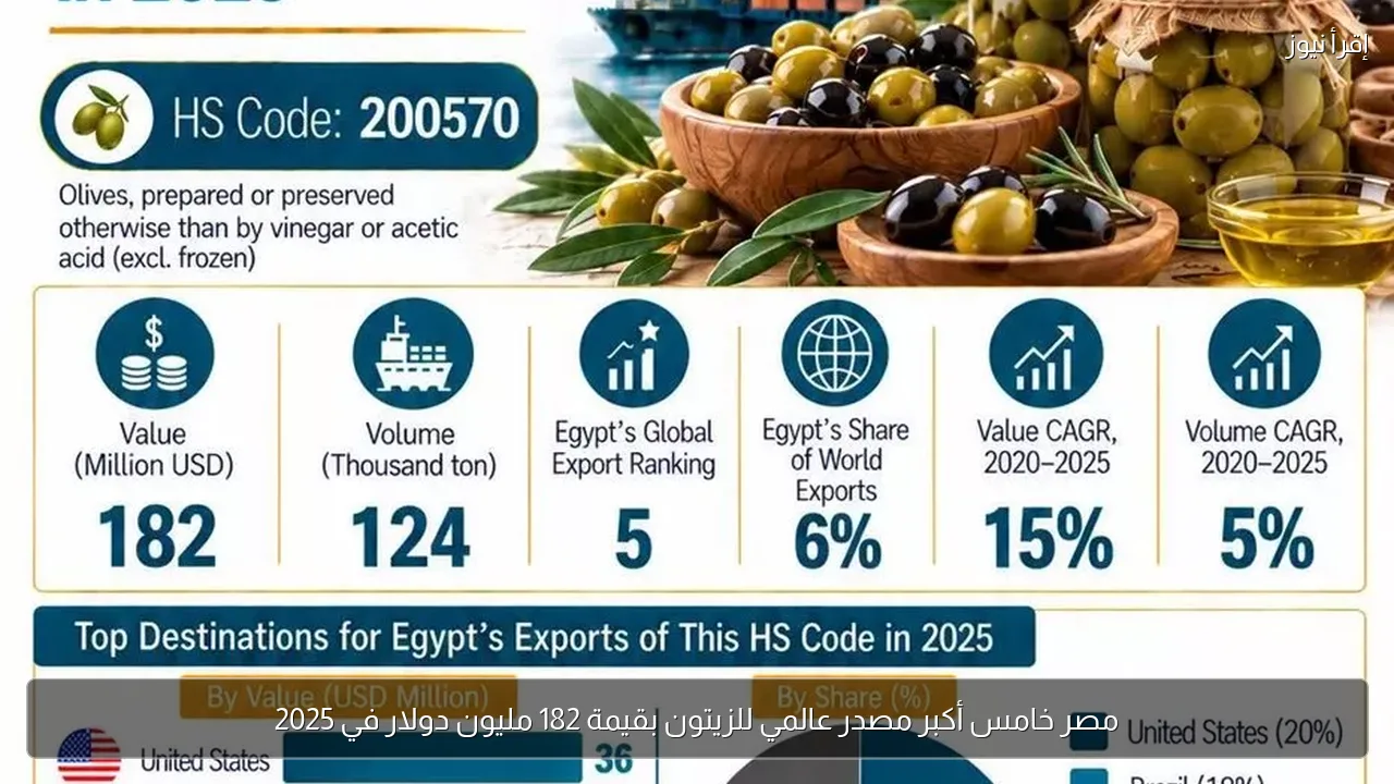 مصر خامس أكبر مصدر عالمي للزيتون بقيمة 182 مليون دولار في 2025
