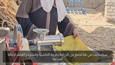 سناء بخيت في قنا تجمع بين الزراعة وتربية الماشية ومشروع العلف لإعالة أسرتها