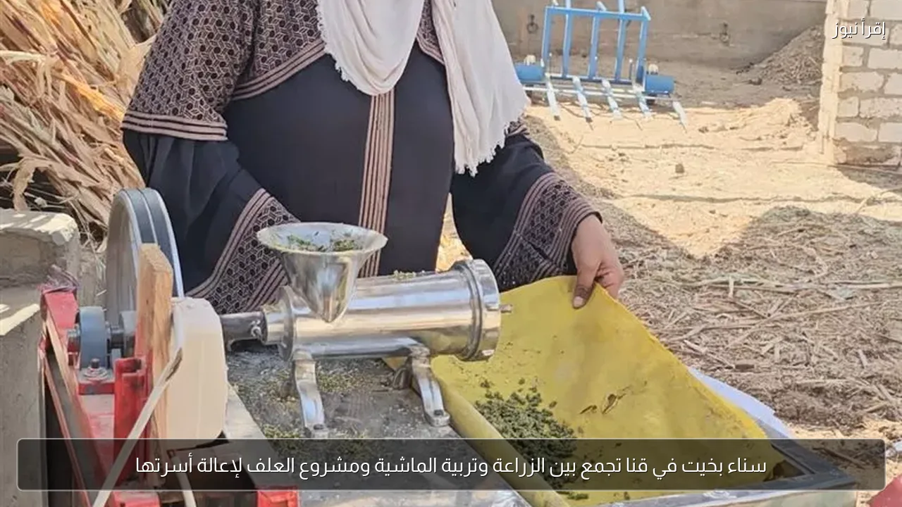 سناء بخيت في قنا تجمع بين الزراعة وتربية الماشية ومشروع العلف لإعالة أسرتها