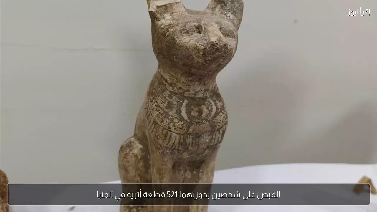 القبض على شخصين بحوزتهما 521 قطعة أثرية في المنيا