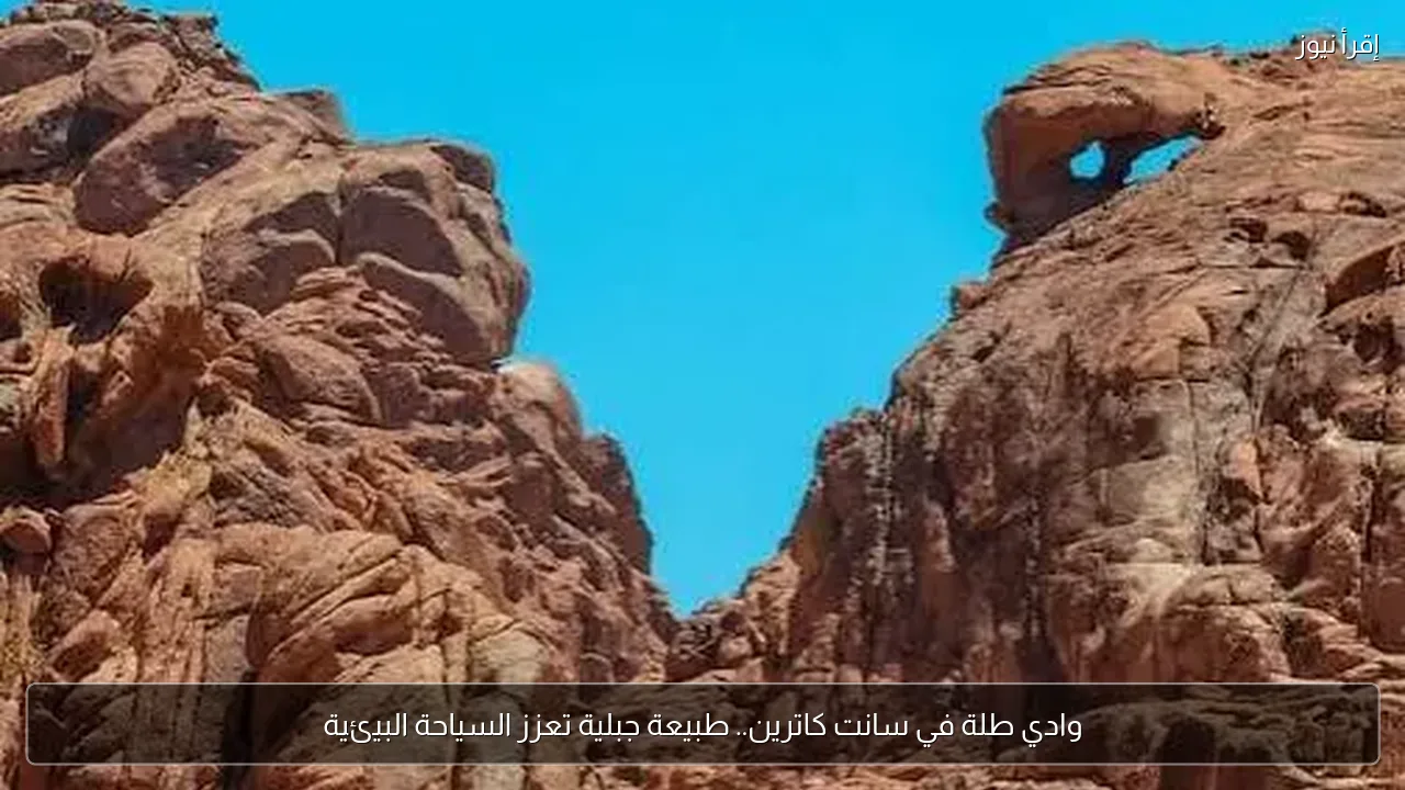 وادي طلة في سانت كاترين.. طبيعة جبلية تعزز السياحة البيئية