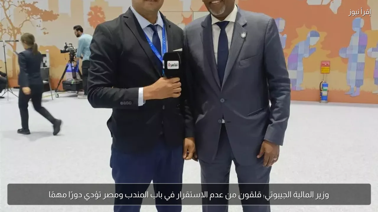 وزير المالية الجيبوتي: قلقون من عدم الاستقرار في باب المندب ومصر تؤدي دورًا مهمًا