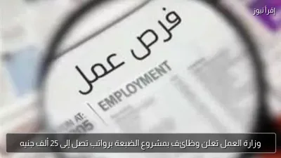 وزارة العمل تعلن وظائف بمشروع الضبعة برواتب تصل إلى 25 ألف جنيه