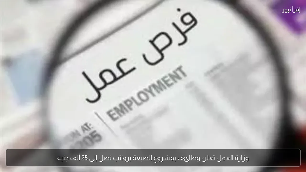 وزارة العمل تعلن وظائف بمشروع الضبعة برواتب تصل إلى 25 ألف جنيه
