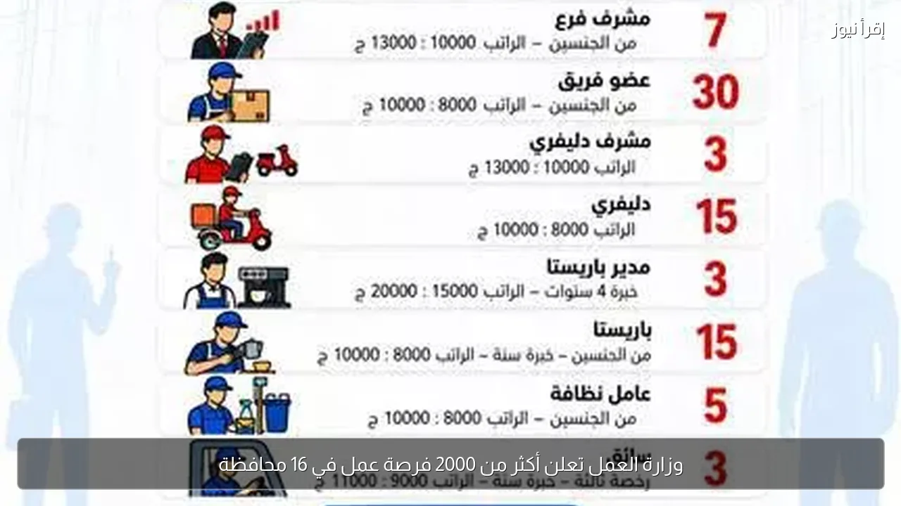وزارة العمل تعلن أكثر من 2000 فرصة عمل في 16 محافظة