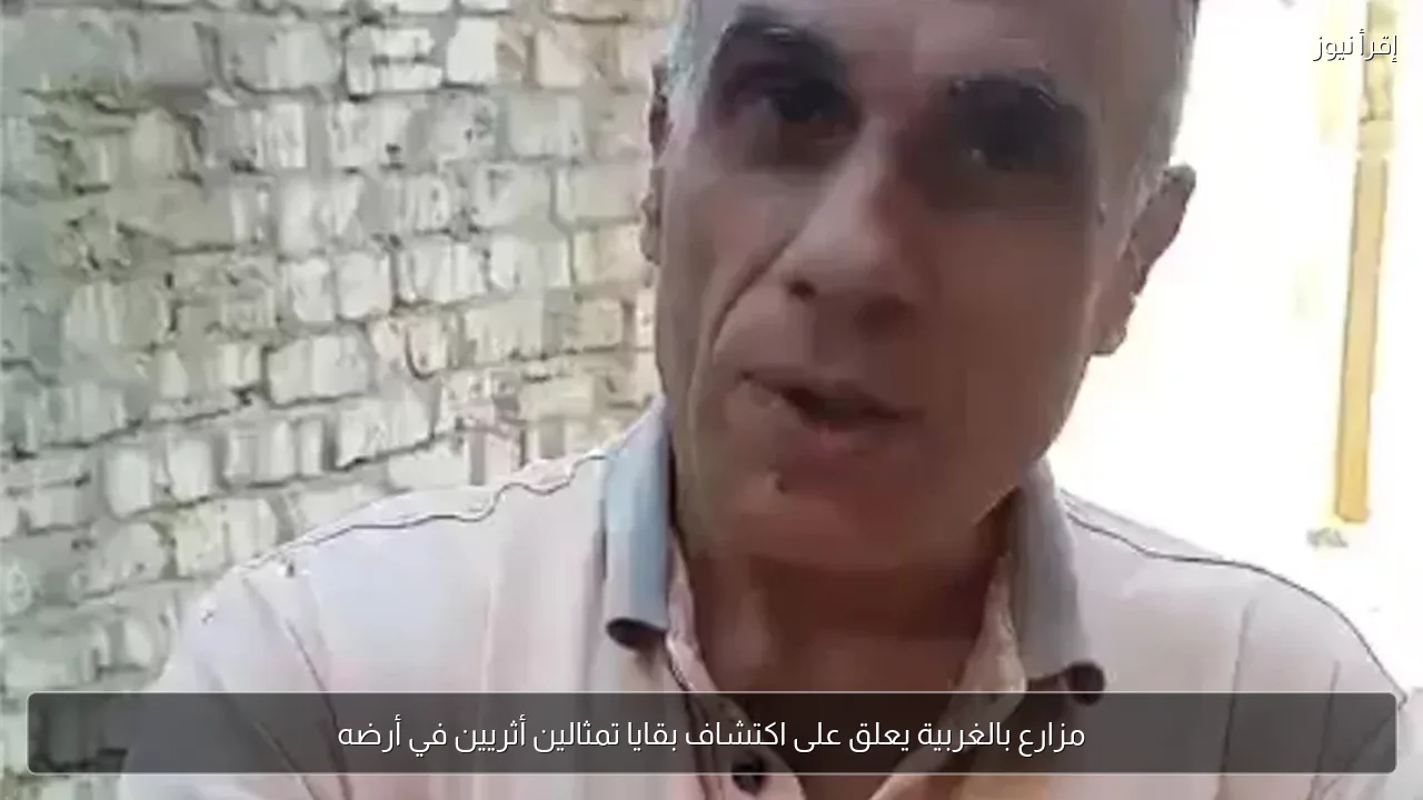 مزارع بالغربية يعلق على اكتشاف بقايا تمثالين أثريين في أرضه