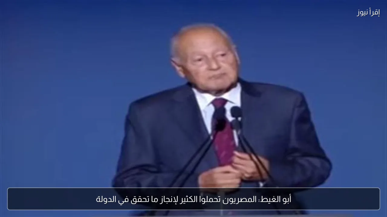 أبو الغيط: المصريون تحملوا الكثير لإنجاز ما تحقق في الدولة