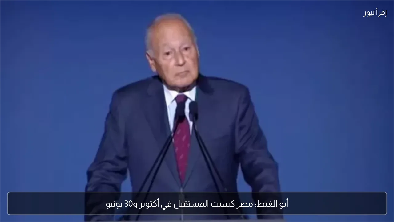 أبو الغيط: مصر كسبت المستقبل في أكتوبر و30 يونيو