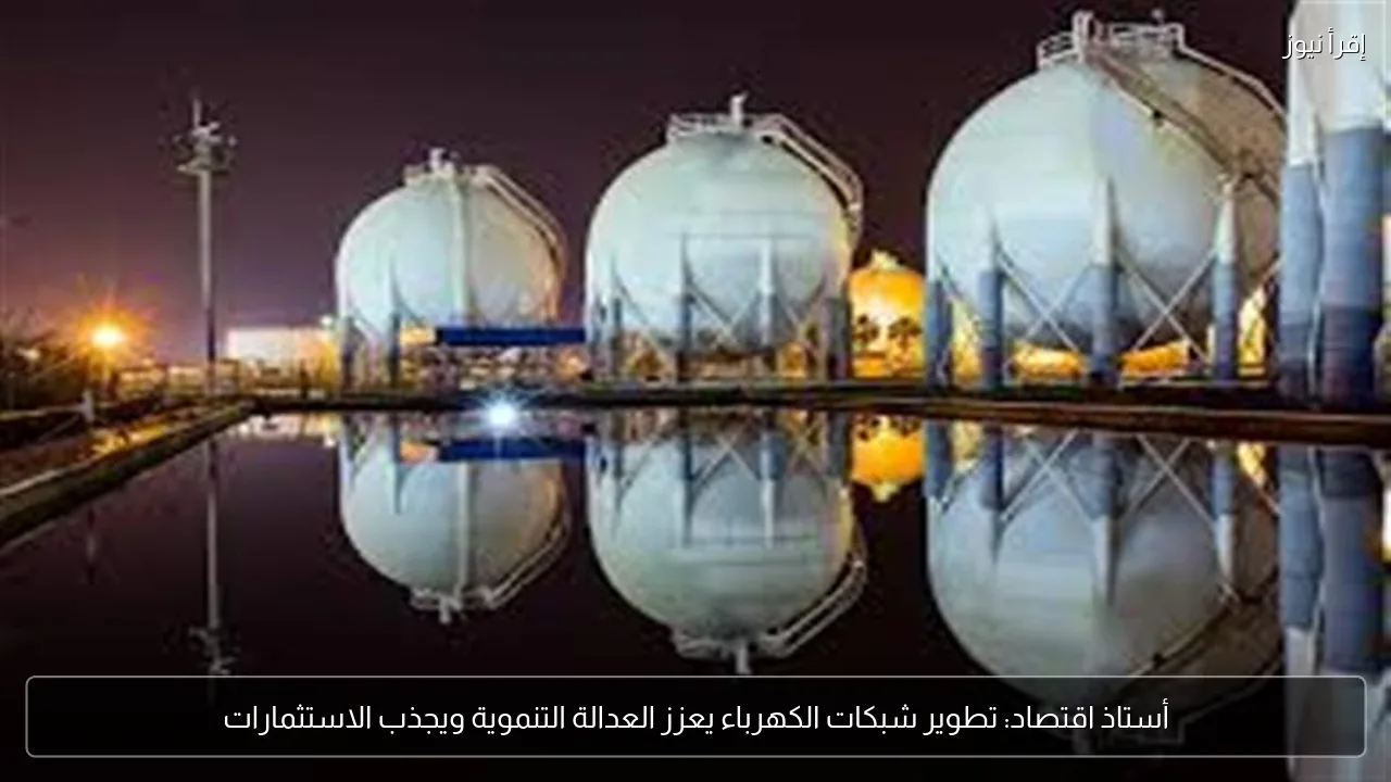 أستاذ اقتصاد: تطوير شبكات الكهرباء يعزز العدالة التنموية ويجذب الاستثمارات