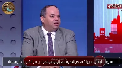 عمرو سليمان: مرونة سعر الصرف تعزز توافر الدولار عبر القنوات الرسمية
