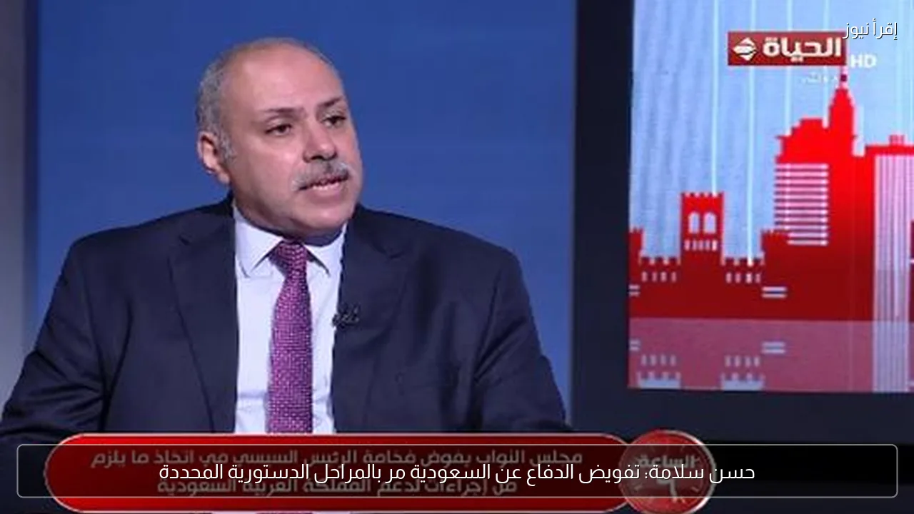 حسن سلامة: تفويض الدفاع عن السعودية مر بالمراحل الدستورية المحددة