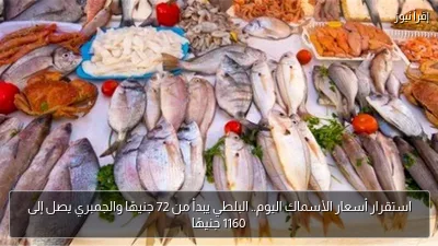 استقرار أسعار الأسماك اليوم.. البلطي يبدأ من 72 جنيهًا والجمبري يصل إلى 1160 جنيهًا