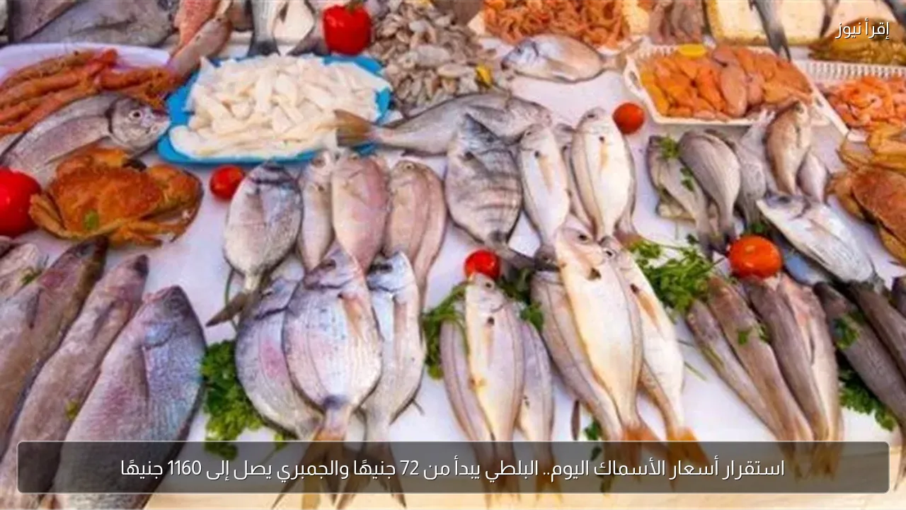 استقرار أسعار الأسماك اليوم.. البلطي يبدأ من 72 جنيهًا والجمبري يصل إلى 1160 جنيهًا