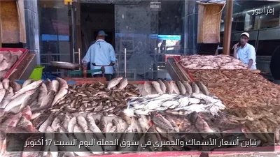 تباين أسعار الأسماك والجمبري في سوق الجملة اليوم السبت 17 أكتوبر