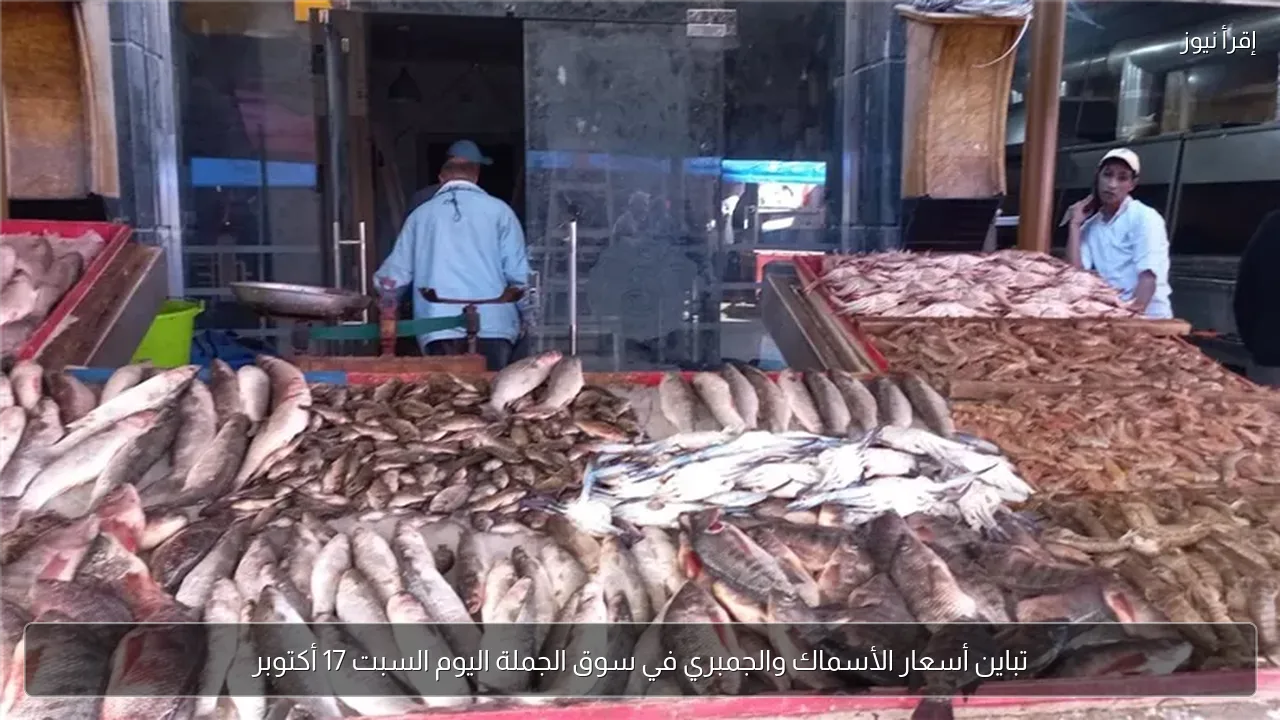 تباين أسعار الأسماك والجمبري في سوق الجملة اليوم السبت 17 أكتوبر