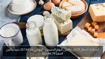استقرار أسعار الألبان والجبن اليوم الخميس.. الرومي عند 287.84 جنيه واللبن المعبأ 46.79 جنيه
