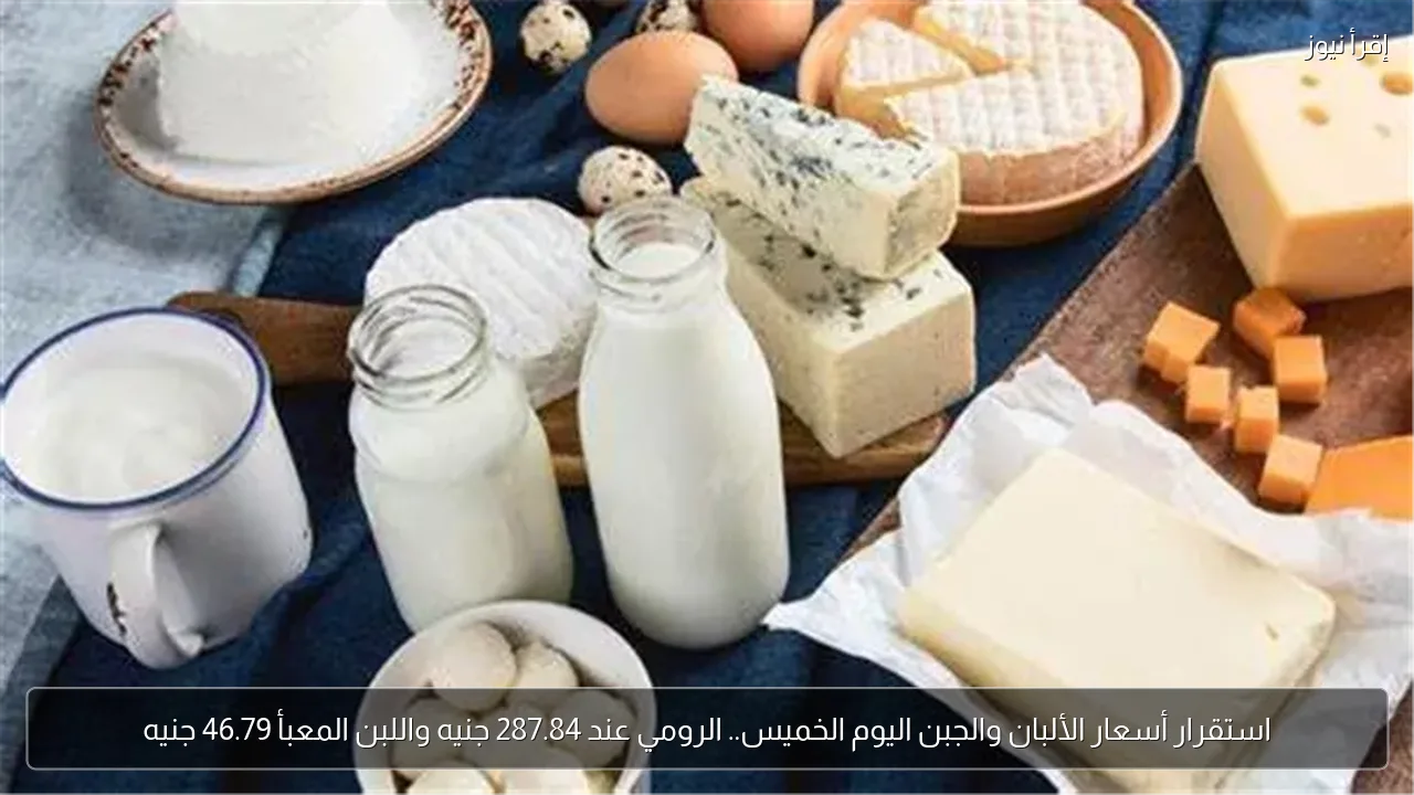 استقرار أسعار الألبان والجبن اليوم الخميس.. الرومي عند 287.84 جنيه واللبن المعبأ 46.79 جنيه