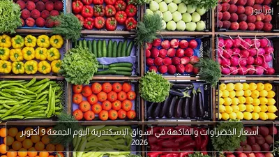 أسعار الخضراوات والفاكهة في أسواق الإسكندرية اليوم الجمعة 9 أكتوبر 2026