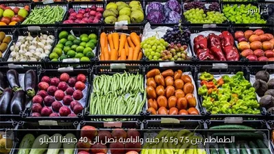 الطماطم بين 7.5 و16.5 جنيه والبامية تصل إلى 40 جنيهًا للكيلو