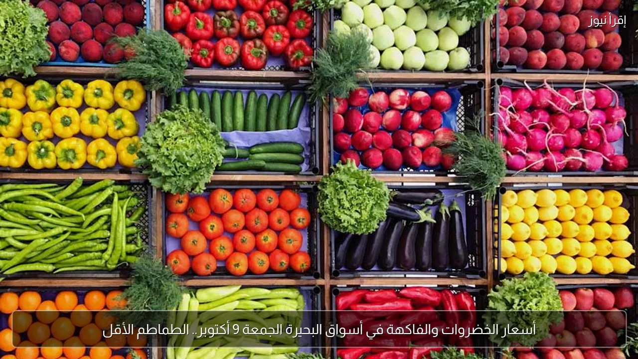 أسعار الخضروات والفاكهة في أسواق البحيرة الجمعة 9 أكتوبر.. الطماطم الأقل