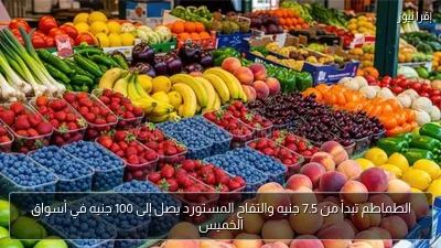 الطماطم تبدأ من 7.5 جنيه والتفاح المستورد يصل إلى 100 جنيه في أسواق الخميس