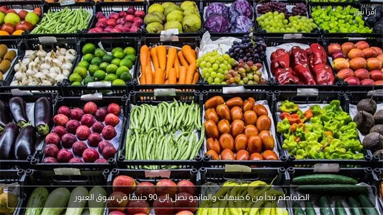 الطماطم تبدأ من 6 جنيهات والمانجو تصل إلى 90 جنيهًا في سوق العبور